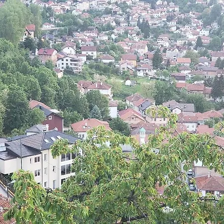 Prenociste *